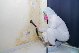 Best Comprehensive Air Testing for Mold Contaminants in Occoquan, VA